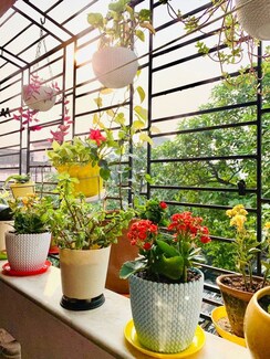 Pg For Rent in Vibhuti Khand