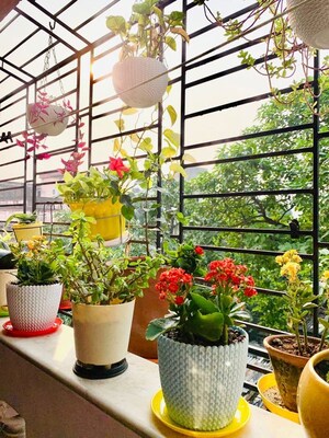 Room in  Pg at Vibhuti Khand – for Rent