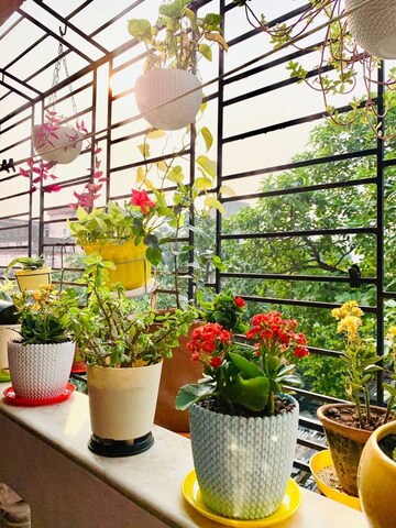 Room in  Pg at Vibhuti Khand – for Rent