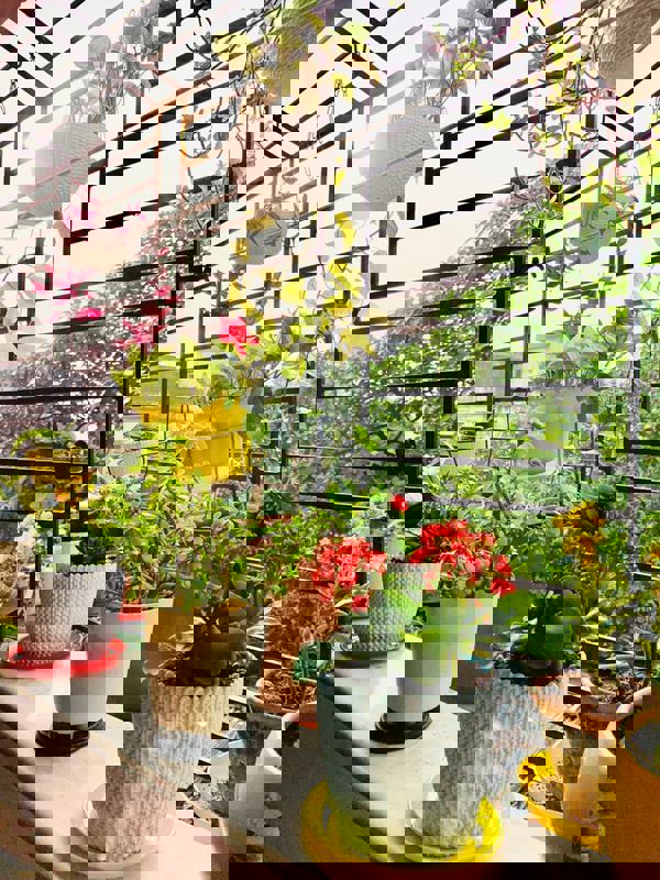 Pg For Rent in Vibhuti Khand