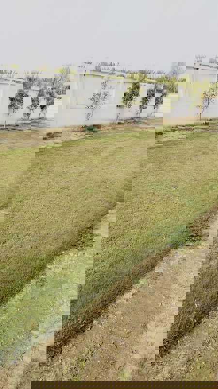 Plot For Sale in Daurala