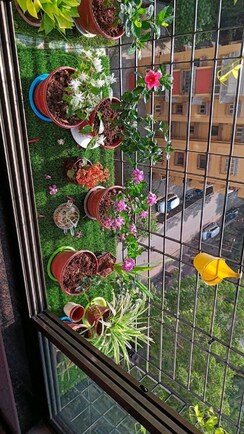 Pg For Rent in Vineet Khand