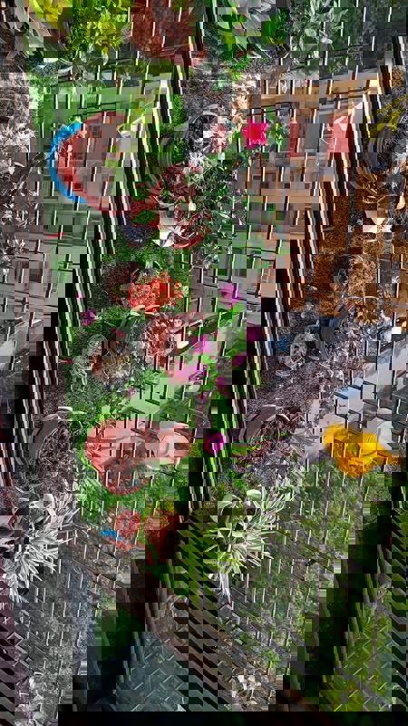 Pg For Rent in Vineet Khand