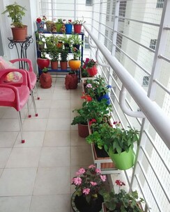 Pg For Rent in Vineet Khand