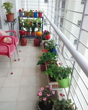 Room in  Pg at Vineet Khand – for Rent