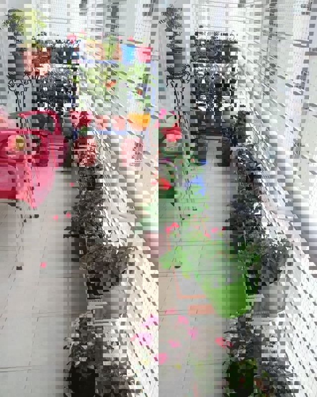 Pg For Rent in Vineet Khand