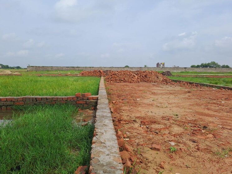 undefined, harhua  1671 Sq.Ft. Plot In Harhua Varanasi 9899464