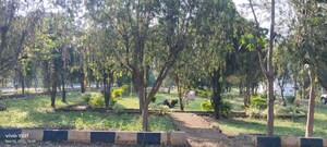 Plot Area in  Plot at Marsur – for Sale