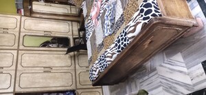 4 BHK Independent House – Exterior View View at New Agra Colony - for Sale