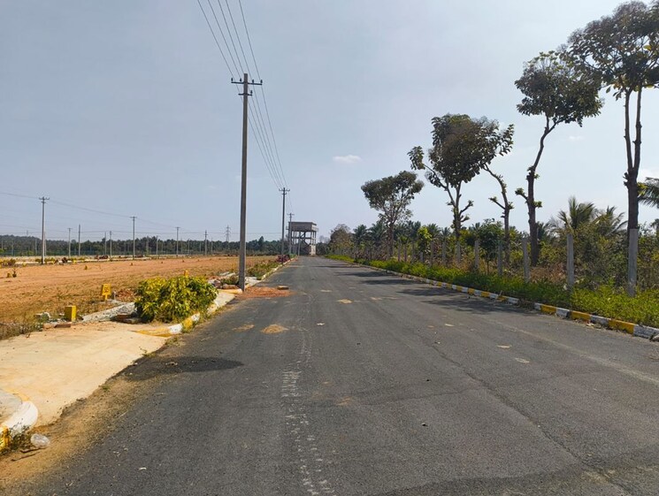 undefined, vijay nagar  1200 Sq.Ft. Plot In Vijay Nagar Hassan 9899833