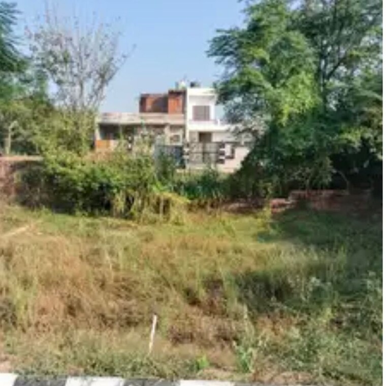 undefined, sector 21  165 Sq.Yd. Plot In Sector 21 Panchkula 9899926