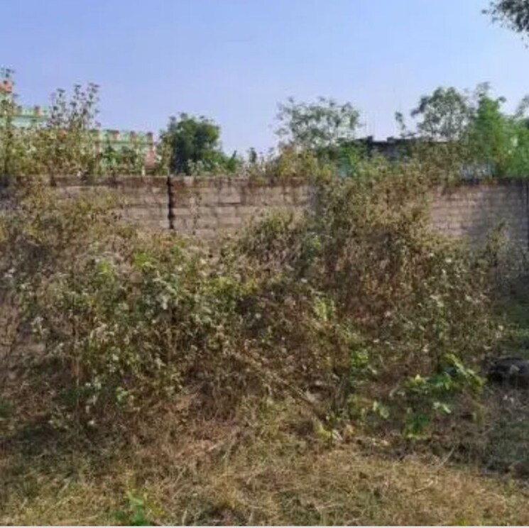 undefined, sector 21  165 Sq.Yd. Plot In Sector 21 Panchkula 9899926