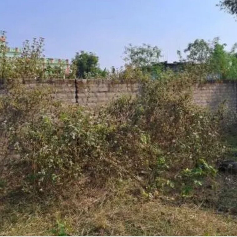 undefined, sector 21  165 Sq.Yd. Plot In Sector 21 Panchkula 9899926