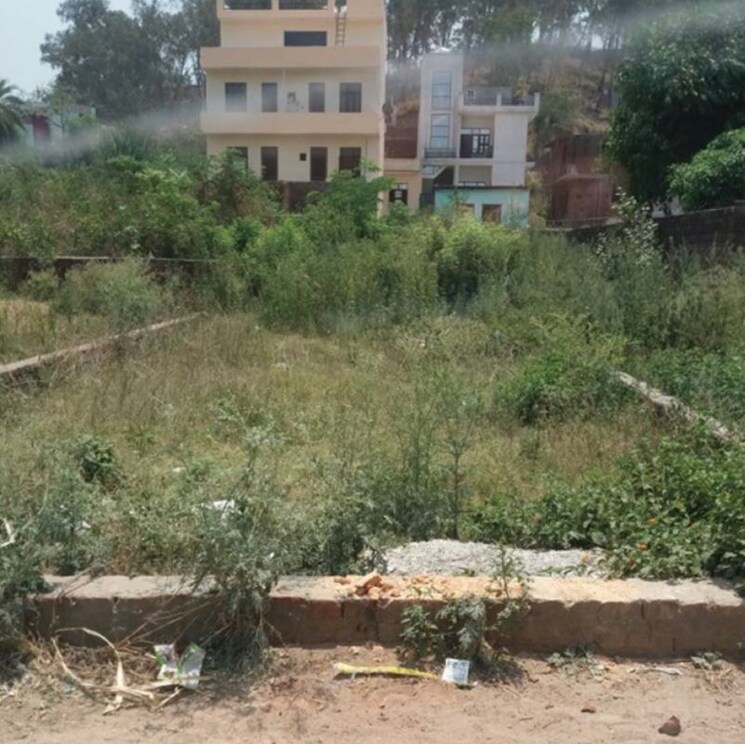 Exterior View, sector 21  165 Sq.Yd. Plot In Sector 21 Panchkula 9899926