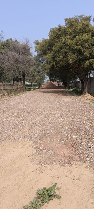 Plot Area in  Plot at Sector 99a – for Sale