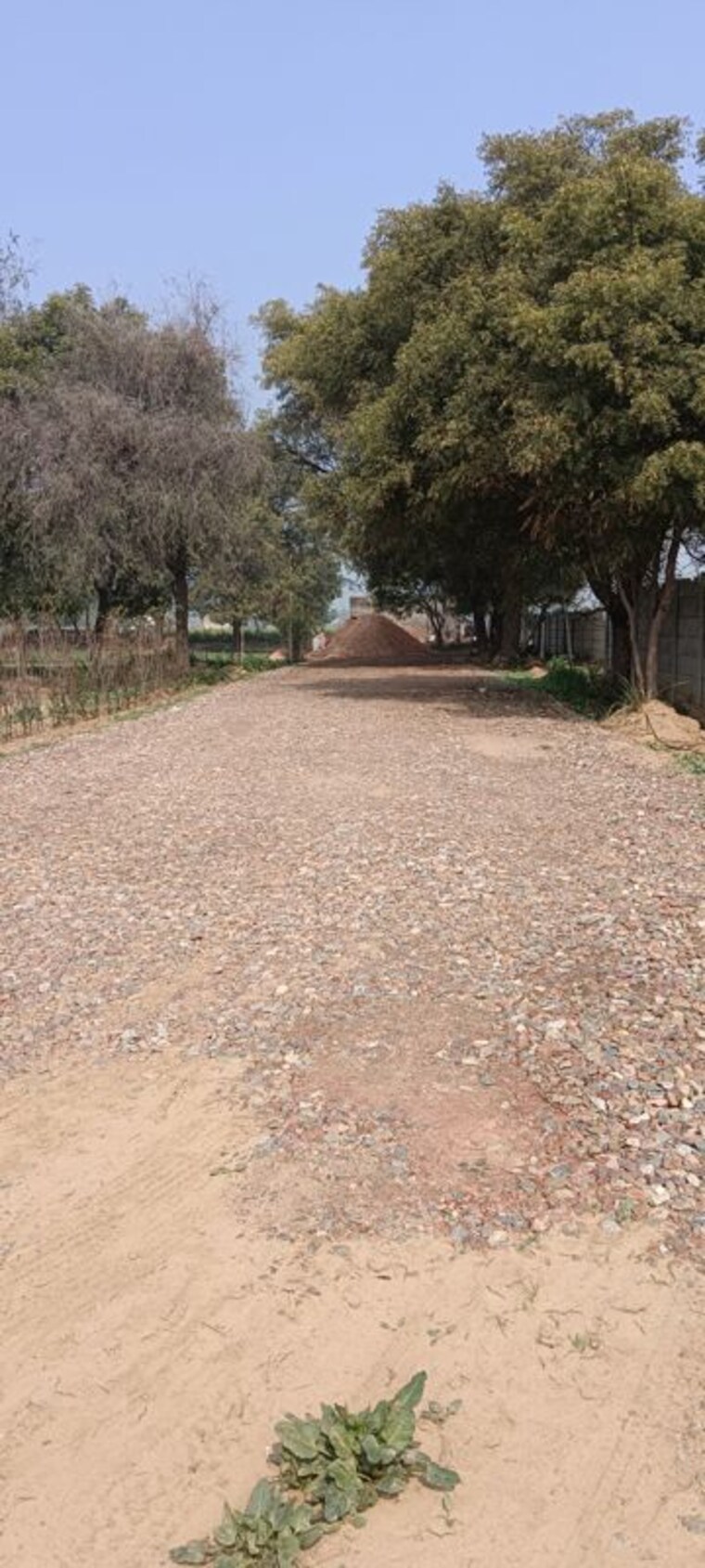 undefined, sector 99a  1200 Sq.Yd. Plot In Sector 99a Gurgaon 9897849