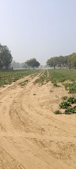 1200 Sq.Yd. Plot in Sector 99A