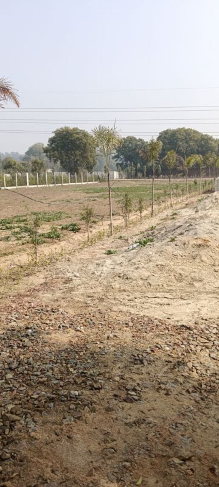 undefined, sector 99a  1200 Sq.Yd. Plot In Sector 99a Gurgaon 9897849