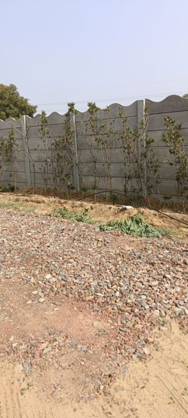 undefined, sector 99a  1200 Sq.Yd. Plot In Sector 99a Gurgaon 9897849