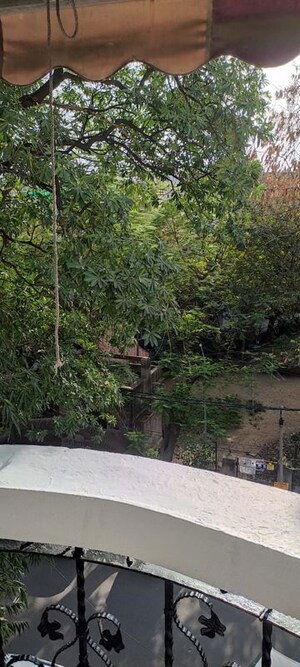 3 BHK Builder Floor – Garden View at Saket - for Sale