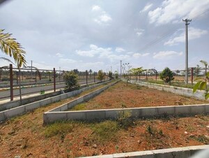 Plot Area in  Plot at Vijay Nagar – for Sale