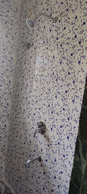 Bathroom in 1 BHK Apartment at Taloja – for Sale