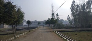 Plot Area in  Plot at Mohanlalganj – for Sale