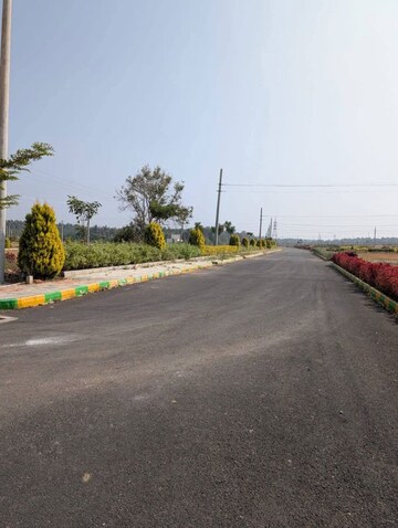  Plot – Exterior View View at Vijay Nagar - for Sale