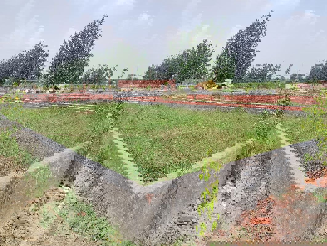 Plot For Sale in Sector 144