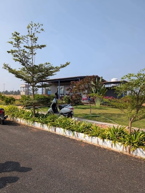 Plot Area in  Plot at Vijay Nagar – for Sale