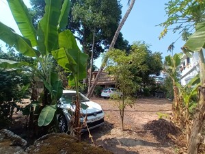  Land – Exterior View View at Chalikavattom - for Sale