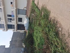 Plot For Sale in Achheja