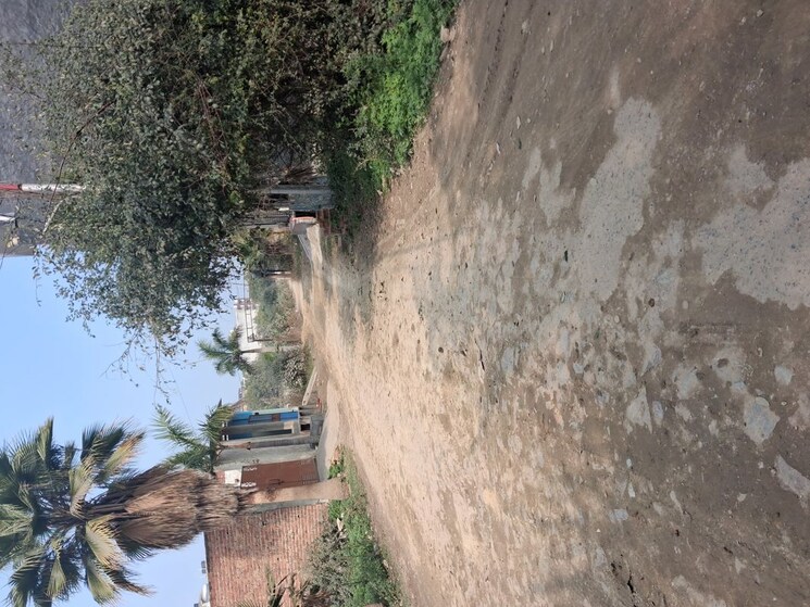 undefined, achheja  106 Sq.Mt. Plot In Achheja Greater Noida 9901691