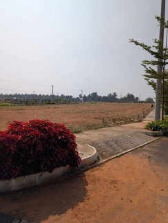 Plot For Sale in Vijay Nagar