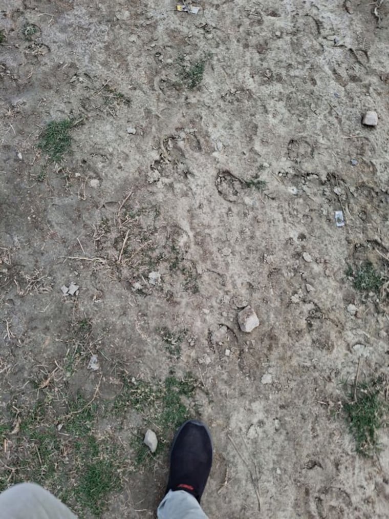 undefined, sultanpur  937 Sq.Ft. Plot In Sultanpur Lucknow 9902092