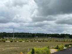Plot For Sale in Sarjapur