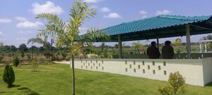  Plot – Exterior View View at Vijay Nagar - for Sale