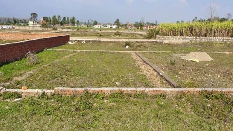 Industrial Plot For Sale in Pace City 2