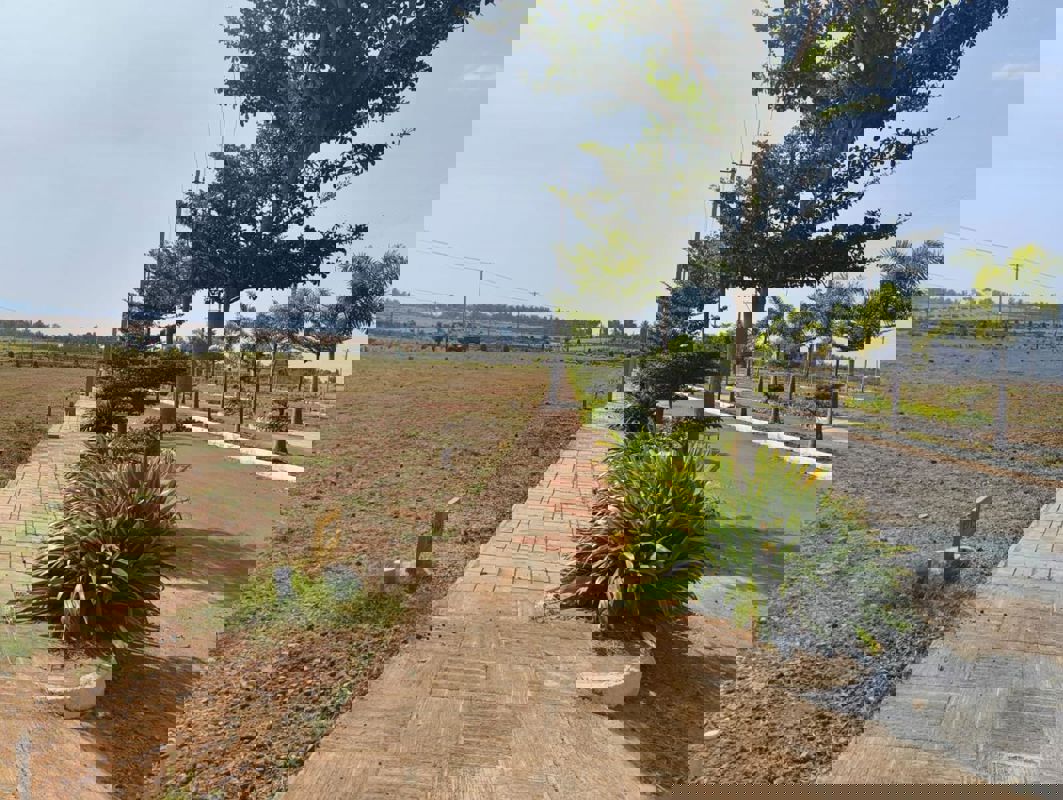 Plot For Sale in Jigani