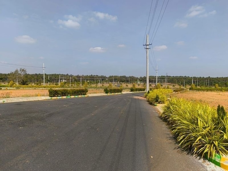 undefined, vijay nagar  1200 Sq.Ft. Plot In Vijay Nagar Hassan 9902459