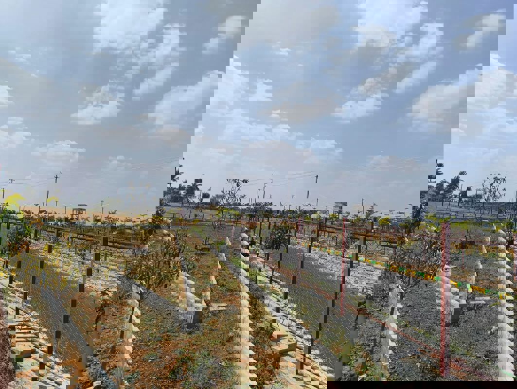 Plot For Sale in Vijay Nagar