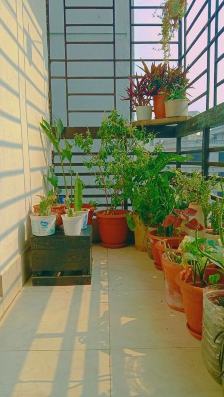 Room, vineet khand Pg For Girls In Vineet Khand 9902549