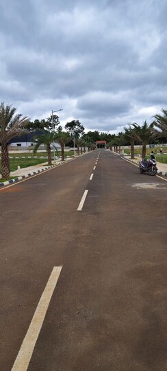 Plot For Sale in Vijay Nagar