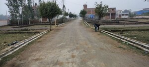 Plot Area in  Plot at Mohanlalganj – for Sale