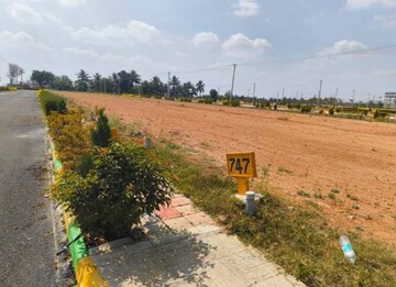 Plot For Sale in Vijay Nagar