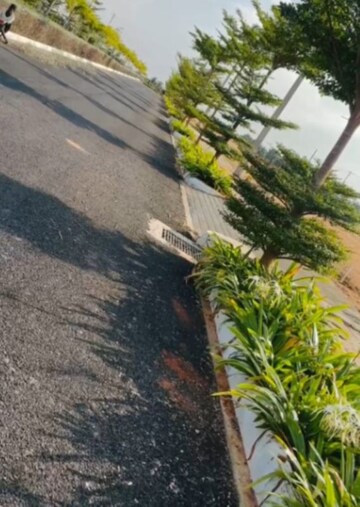  Plot – Exterior View View at Channarayapatna - for Sale