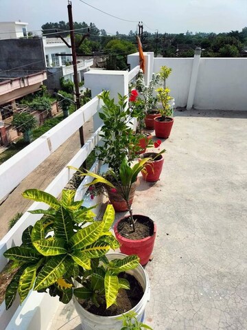 Room in  Pg at Vibhuti Khand – for Rent