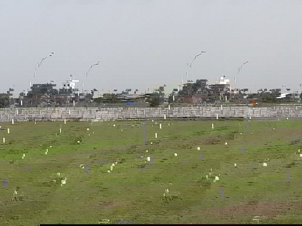 Plot For Sale in Sector 12