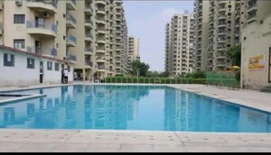 Swimming Pool in 3 BHK Apartment at Ardee City Palm Grove Heights, Sector 52 – for Rent