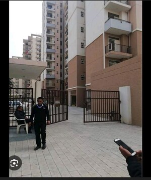 1 BHK Apartment For Rent in Auric City Homes, Sector 82